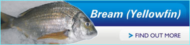 Bream (yellowfin)